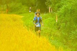 BIB: 
                            <button type="button" onclick="openModal(13456045)" class="btn btn-primary btn-sm float-right btn-popup" data-toggle="modal" data-target=".modal-high-quality">
                        <i class="fas fa-shopping-cart"></i> Add to Cart
                    </button>
                                            <button type="button" onclick="isThisMe(13456045, true)" class="btn btn-success btn-sm float-right btn-popup btn-isme hidden" data-toggle="tooltip" data-placement="bottom" title="นี่คือรูปของคุณใช่ไหม คลิกที่นี่เพื่อเอาเข้าอัลบั้ม">
                        <i class="fas fa-plus"></i> Add to album
                    </button>
                    <button type="button" onclick="isThisMe(13456045, false)" class="btn btn-warning btn-sm float-right btn-popup btn-isnotme hidden">
                        <i class="fas fa-ban"></i> Remove from album
                    </button>